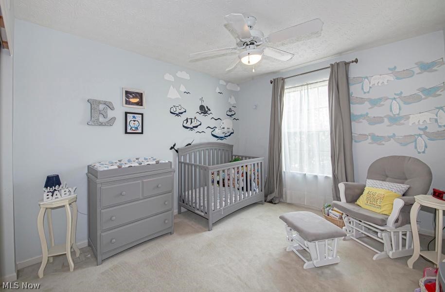 Thornapple Highlands - Residential