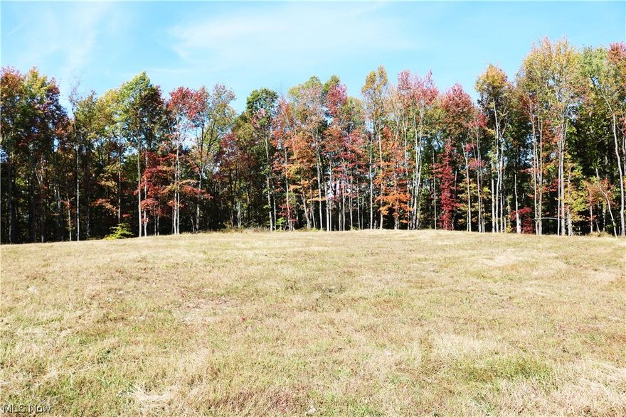 Here is a golden opportunity to own a nice tract of hunting land with the added bonus of a new driveway already installed as well as a water well and a perfect area cleared and ready to build you dream home or cabin. As you cruise to the top of the driveway you will be greeted by a beautiful spot to build. In the woods behind the building area you have great hunting, some harvestable timber, and open paths that lead you back to an area where you can easily imagine  that giant buck strolling through the valley. This area is also not far from Salt Fork and all it has to offer with the lake, campground, and all the public hunting land that will greatly benefit you as an outdoorsman. The new driveway does come out on the adjacent property but will have legal access granted to the buyer. This sells subject to final survey and all legal articles of record. Offers should be per acre with the final price being determined by the acreage at survey. The goal is to be close to 38 acres.