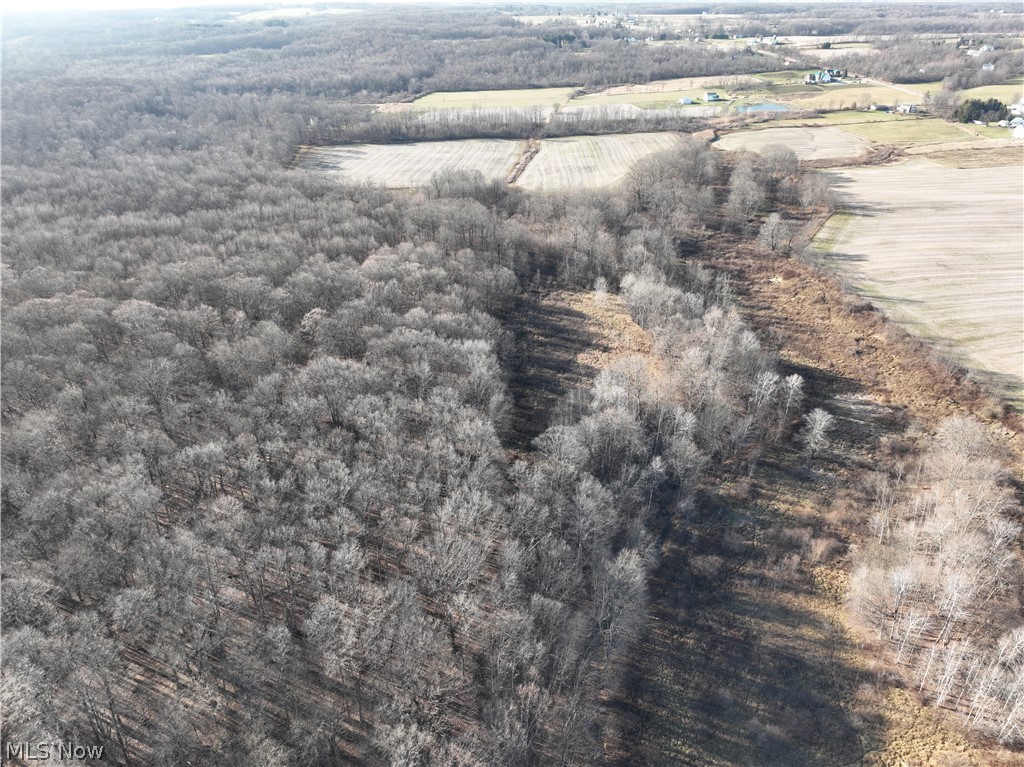 Parcel A Nash Road, Middlefield, Ohio image 6