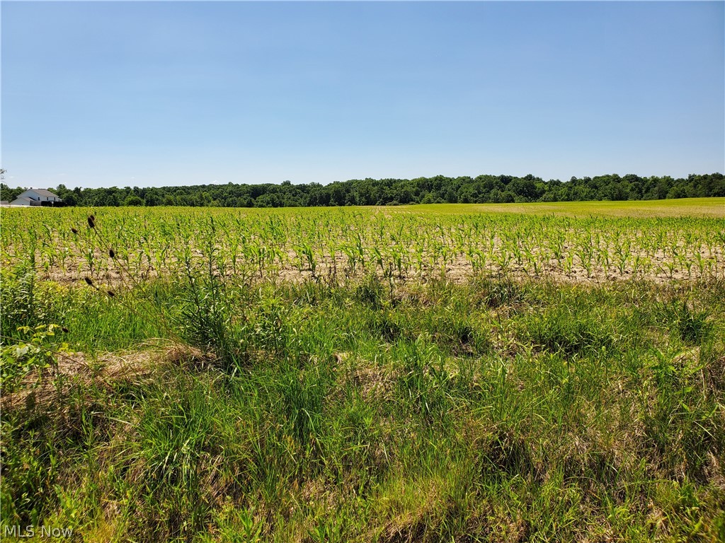 Parcel A Nash Road, Middlefield, Ohio image 1