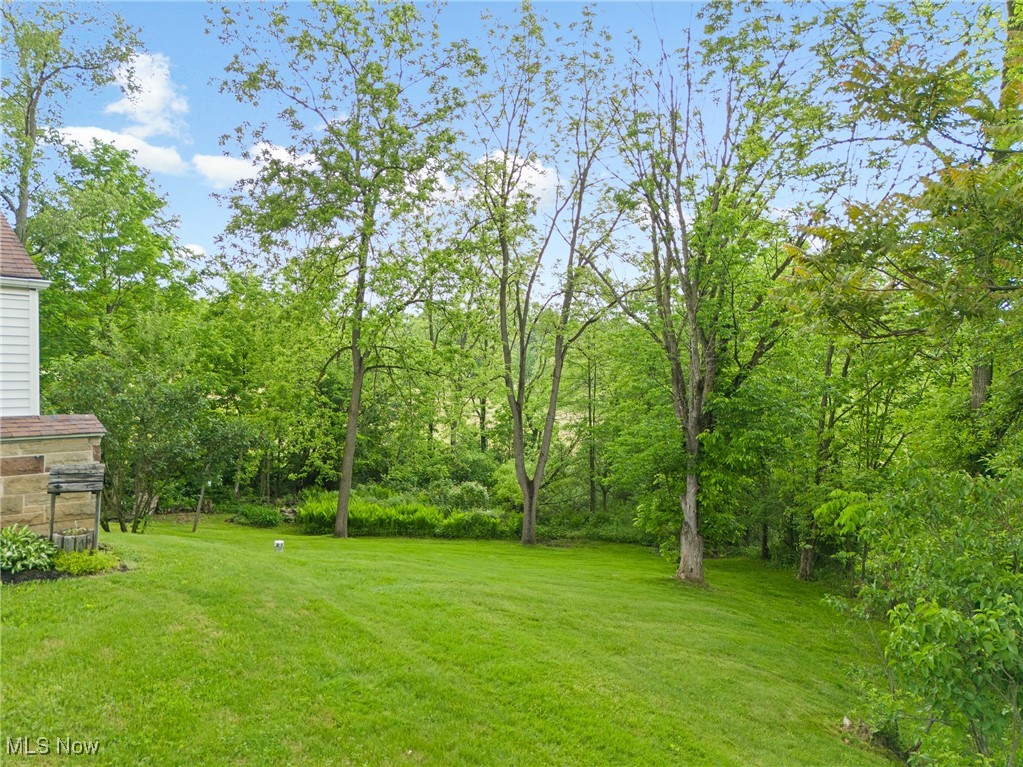 11439 Millersburg Road, Massillon, Ohio image 46