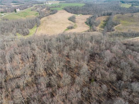 Vacant Land For Sale - Coal Road<br/> Fresno, OH 43824