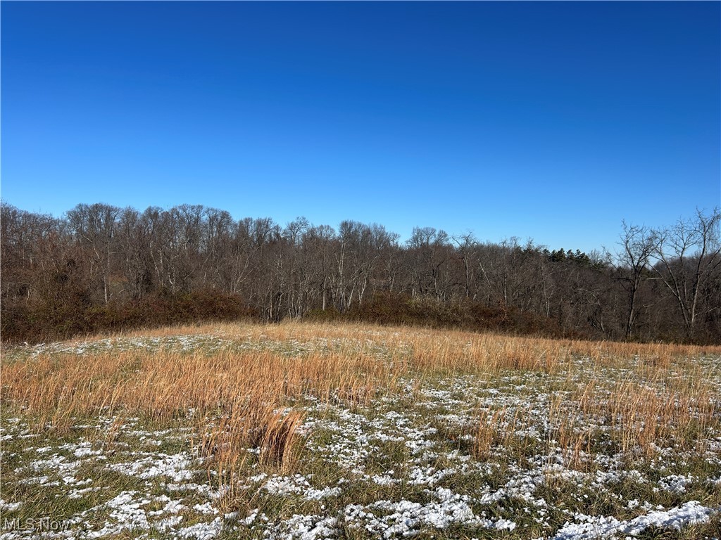 Wayne Ridge Rd, Zanesville, Ohio image 1