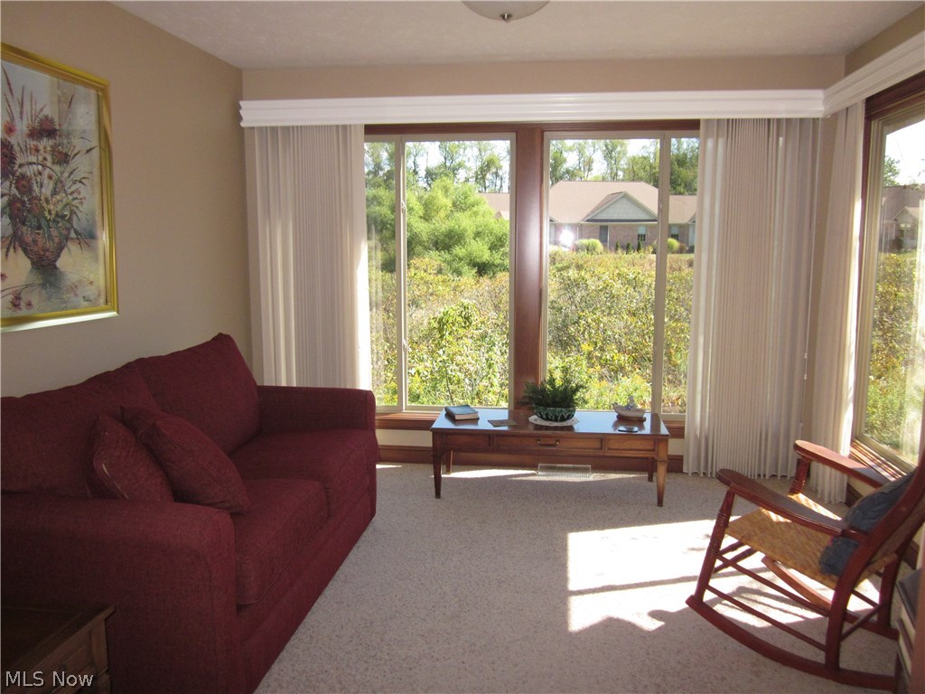 Windham Bridge Condo - Residential