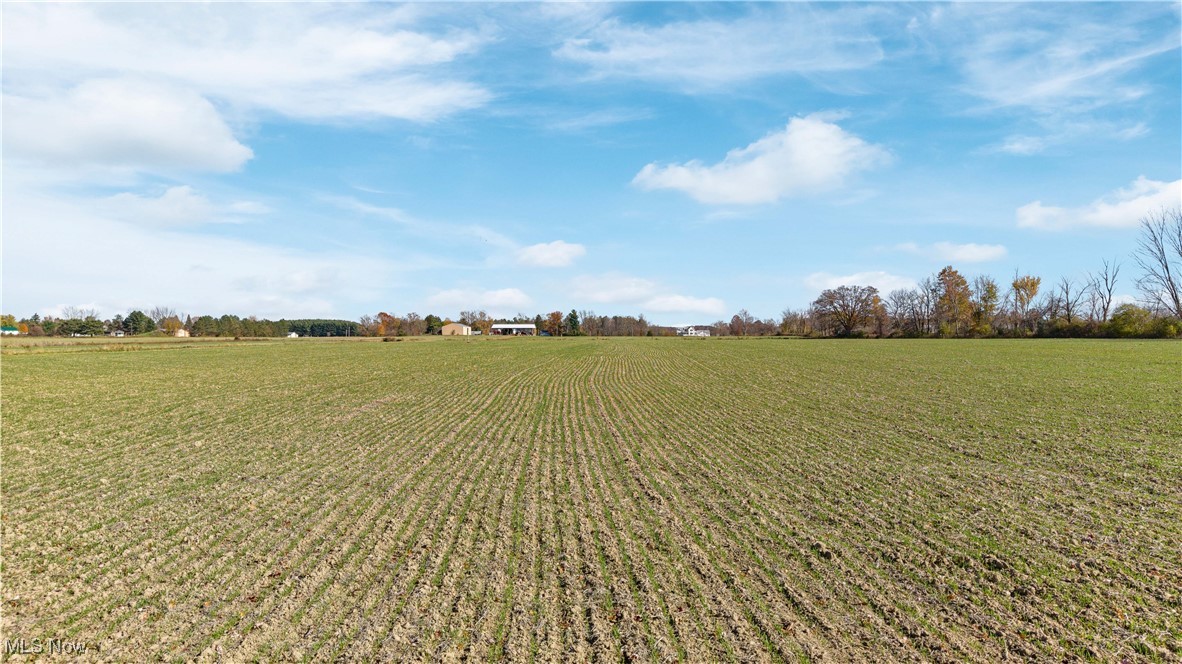 14768 Whitehead Road, LaGrange, Ohio image 9