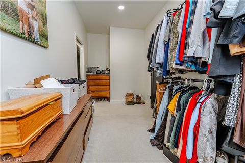 Tiny photo for 3195 Pleasant Valley Road SW, Baltic, OH 43804 (MLS # 5187949)