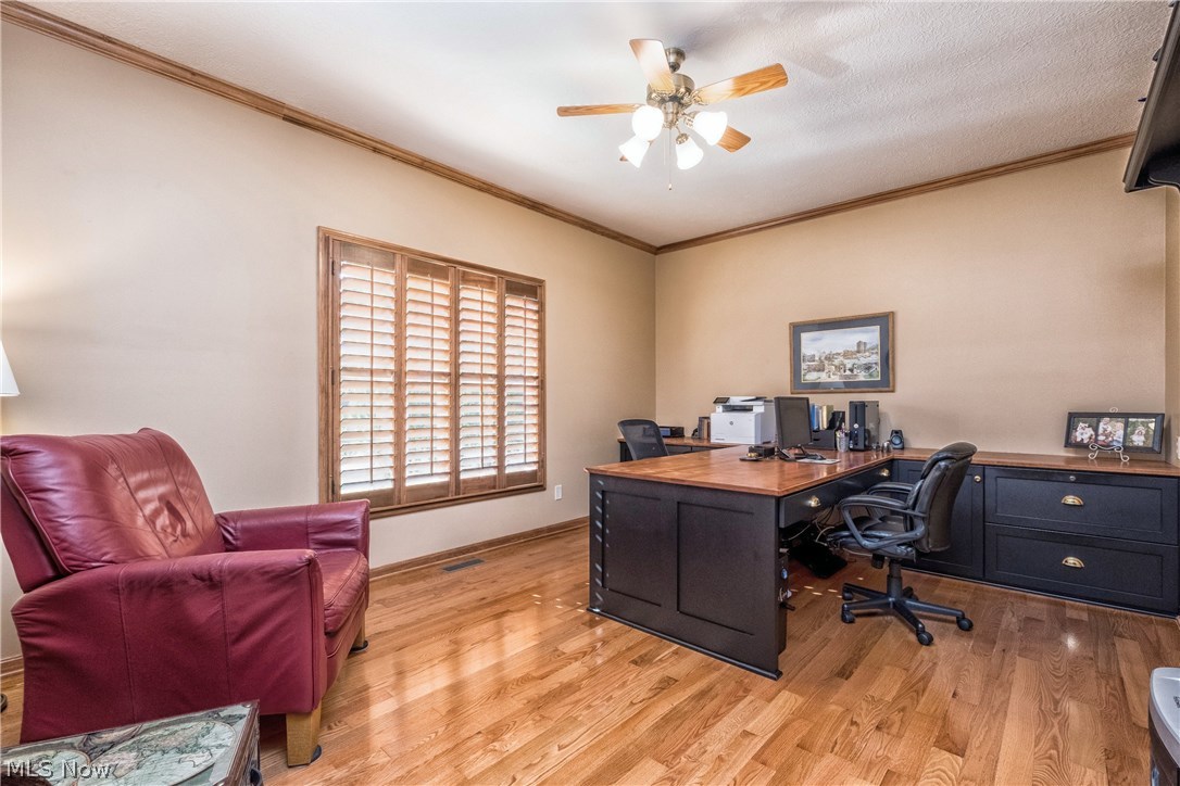 Carrington Allotment Ph 06 - Residential