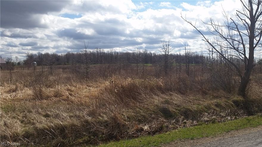 Fantastic location for a small horse farm or for a large home with beautiful scenic views on almost 6 acres of land.  Over 530 foot of frontage on Brosius road and a little over 100 foot of frontage on State Route 305.  In the award winning James A. Garfield school district.  Mineral rights do transfer to new buyer with acceptable buyer.