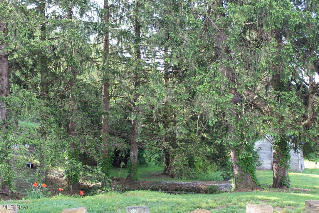 Retilley Drive Lot #4786 Drive, Coshocton, Ohio image 13