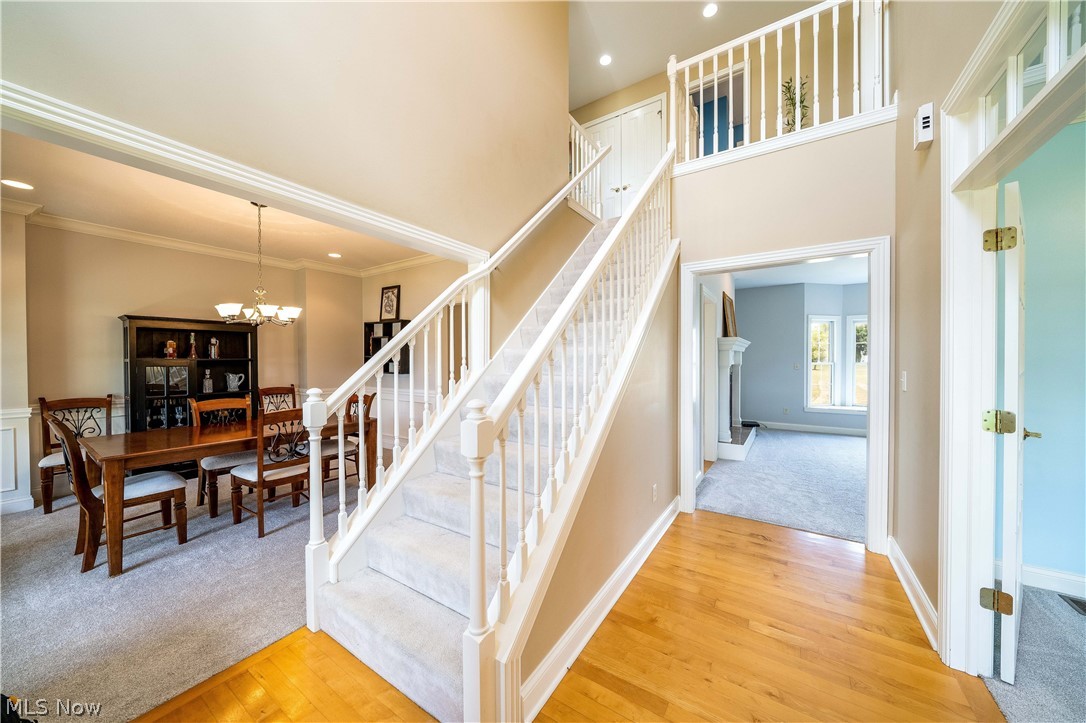 Forest Lakes - Residential