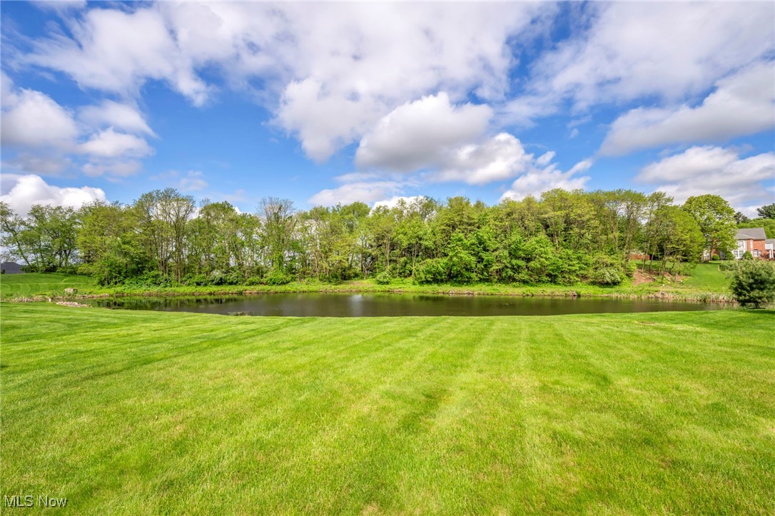 8584 Soames Court, Massillon, Ohio image 49