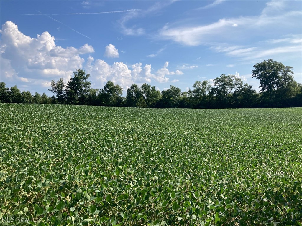 East Forty Estate - Land