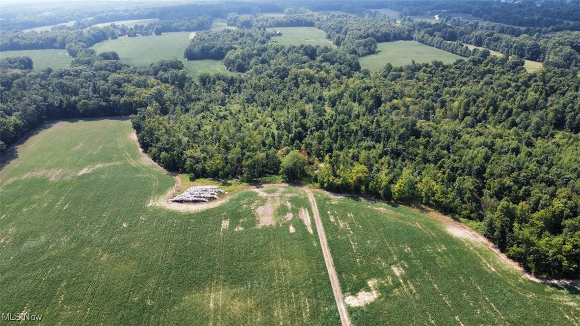 East Forty Estate - Land