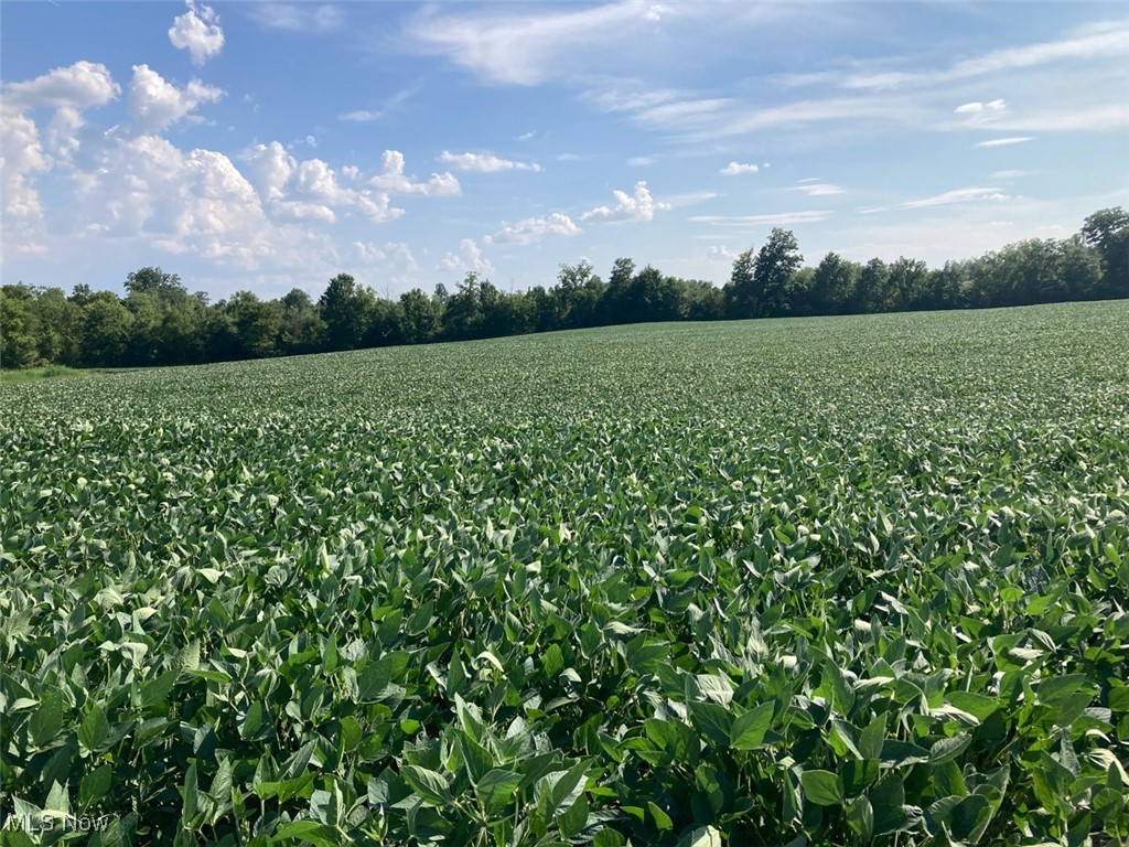 East Forty Estate - Land