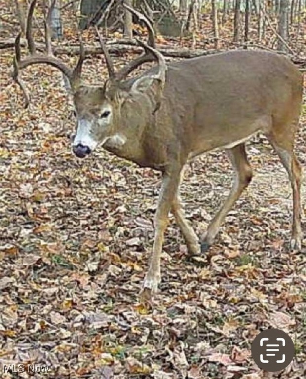 East Forty Estate - Land