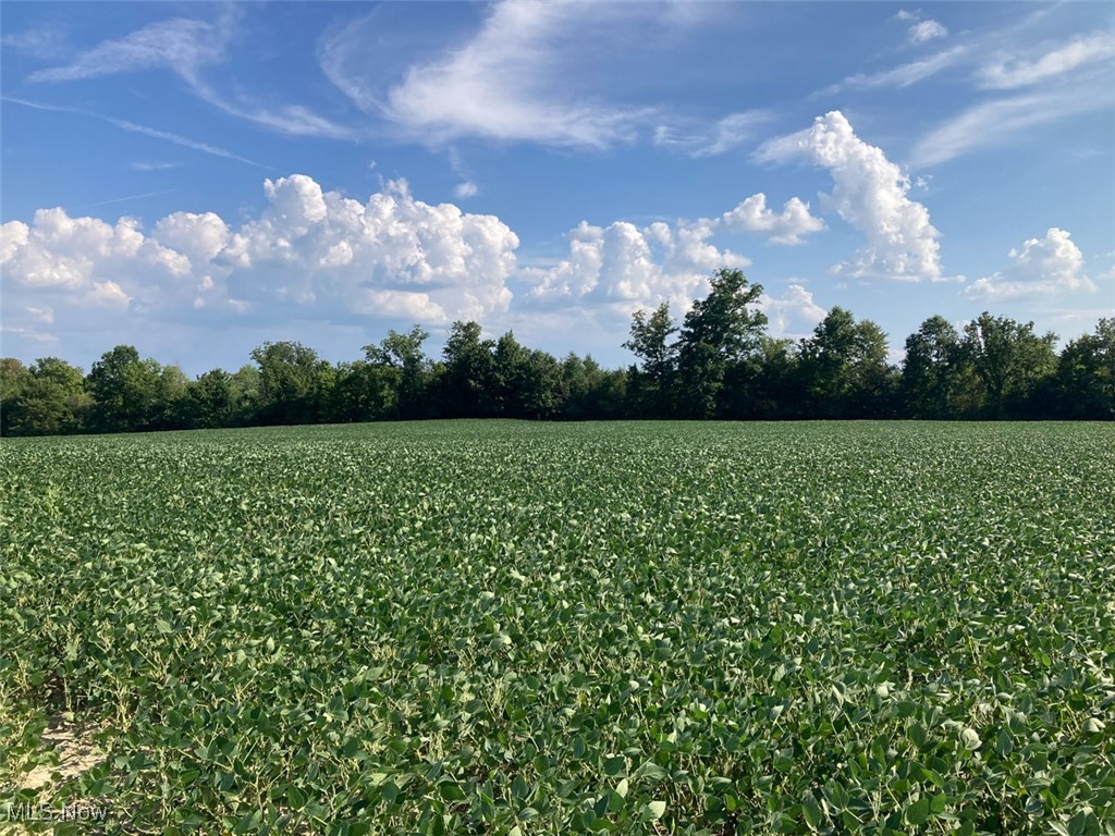 East Forty Estate - Land