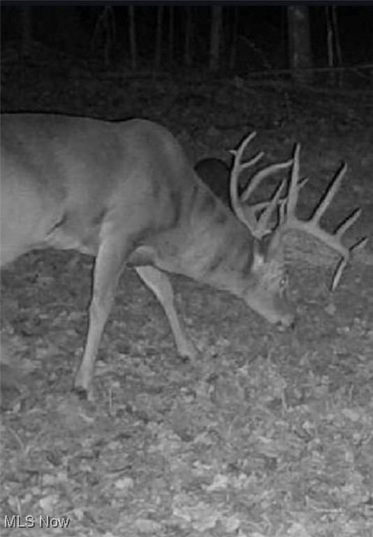 East Forty Estate - Land