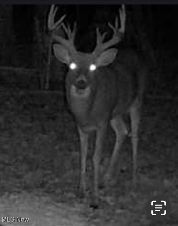 East Forty Estate - Land