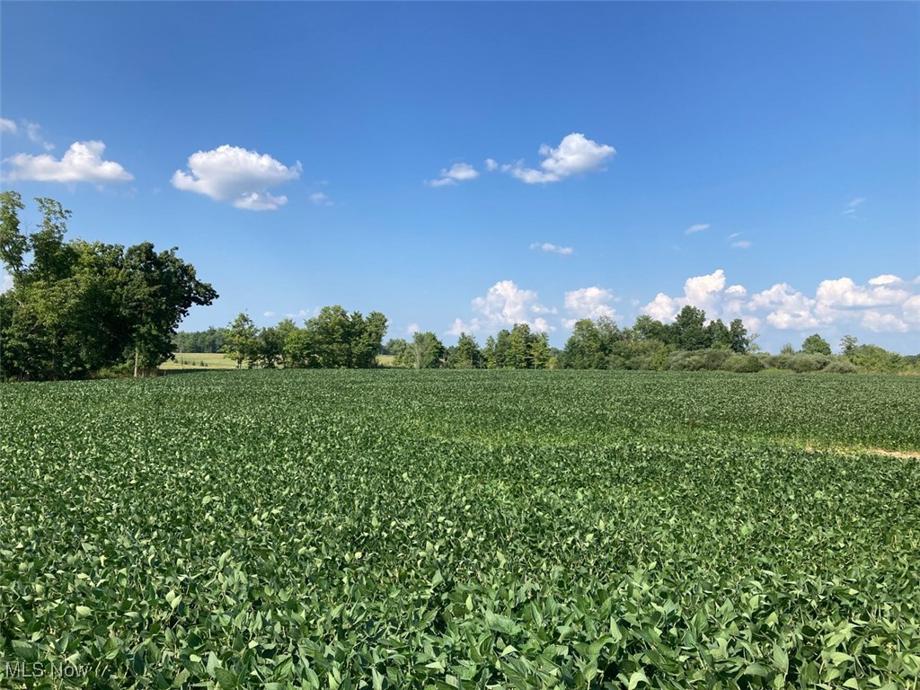 East Forty Estate - Land