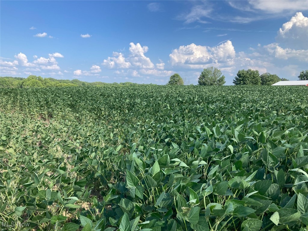 East Forty Estate - Land