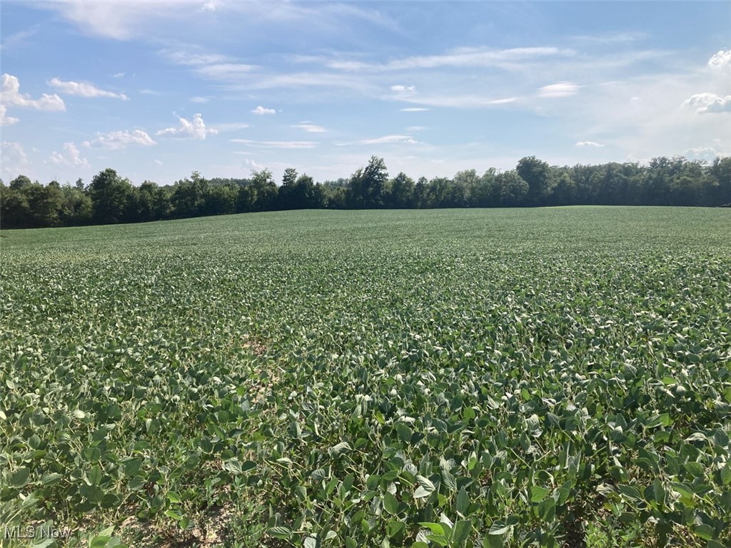 East Forty Estate - Land