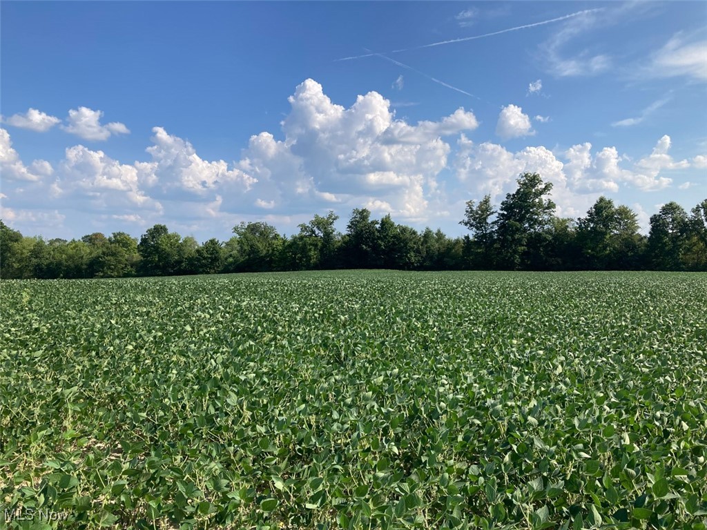 East Forty Estate - Land