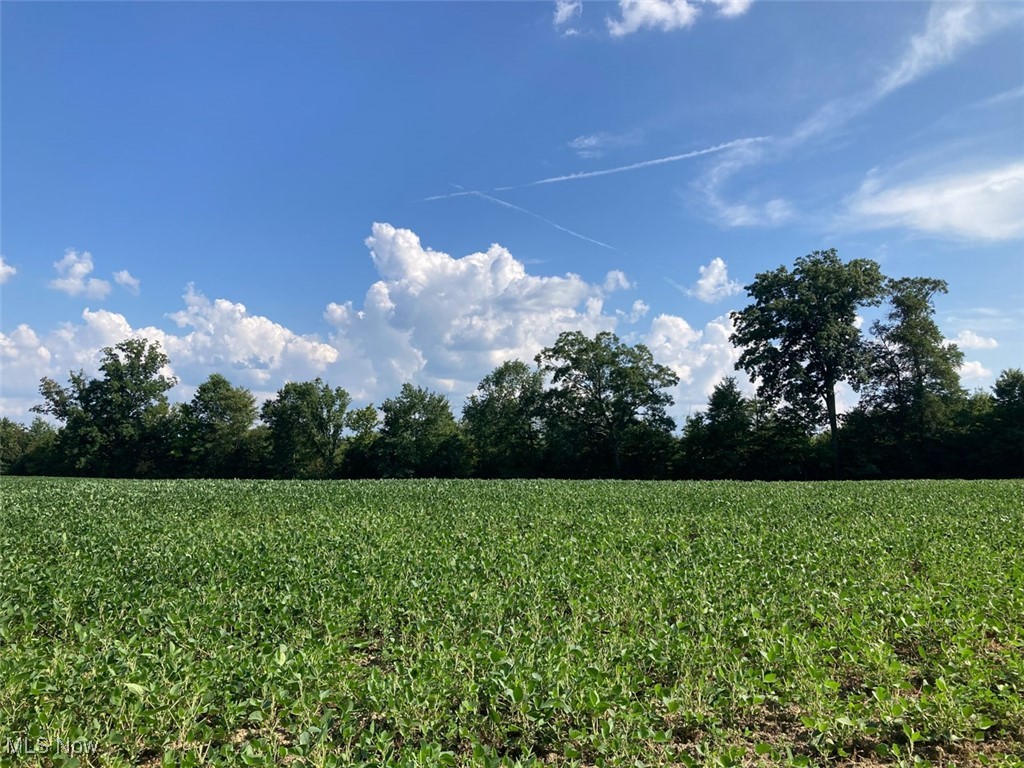 East Forty Estate - Land