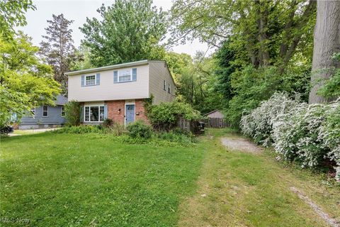 5609 Walnut Street Mentor-on-the-Lake OH 44060