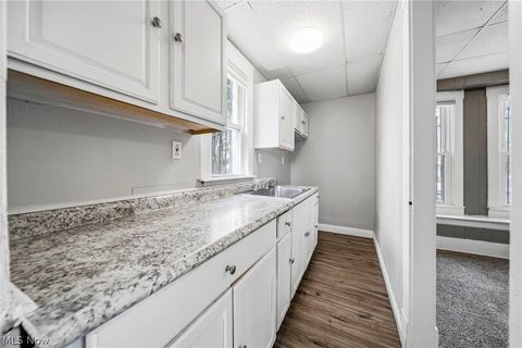 Tiny photo for 9008 Birchdale Avenue, Cleveland, OH 44106 (MLS # 5209517)