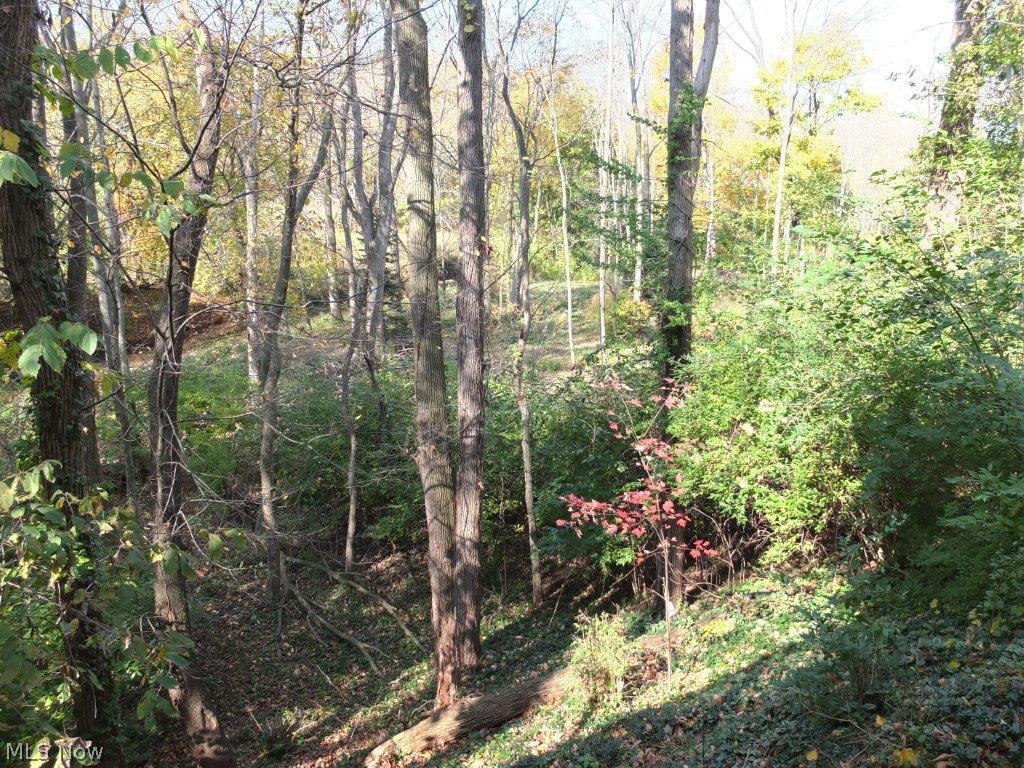 Auburn Knolls Consolidated - Residential