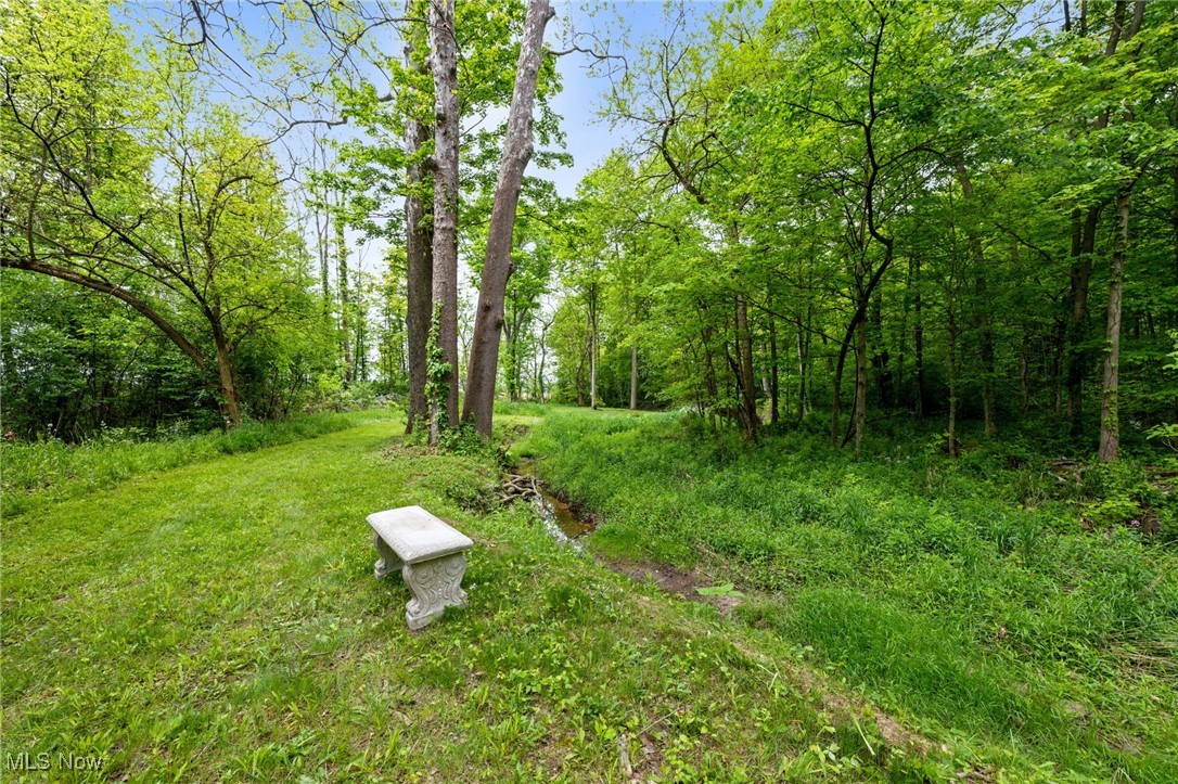 16364 Hallauer Road, Oberlin, Ohio image 44