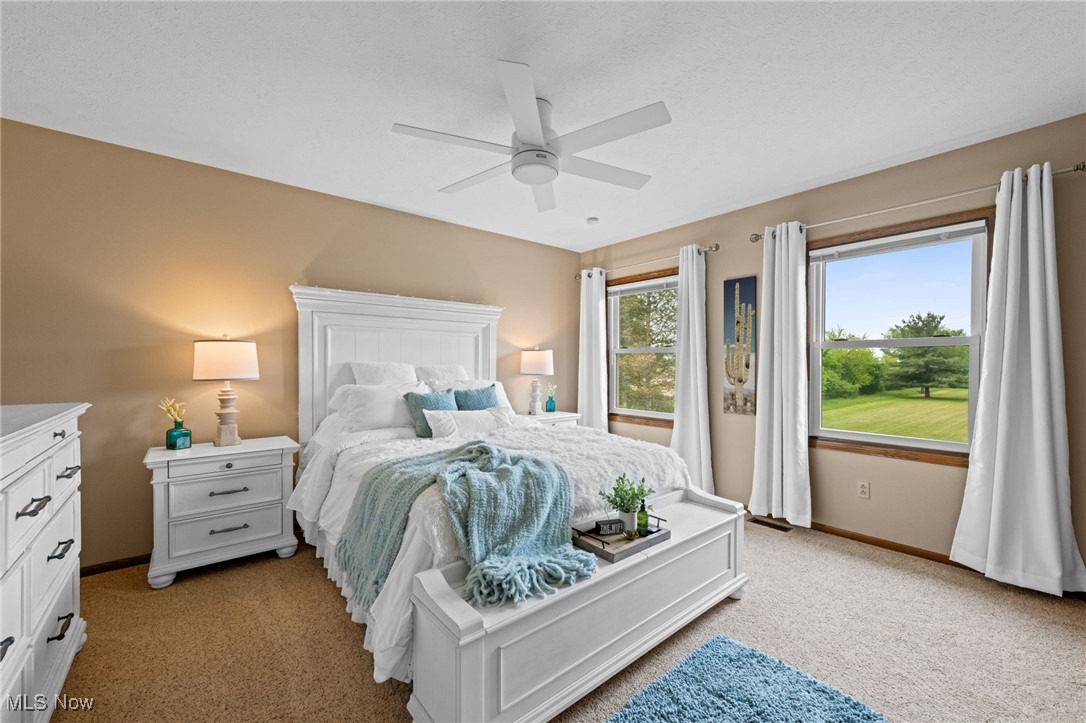 16364 Hallauer Road, Oberlin, Ohio image 22
