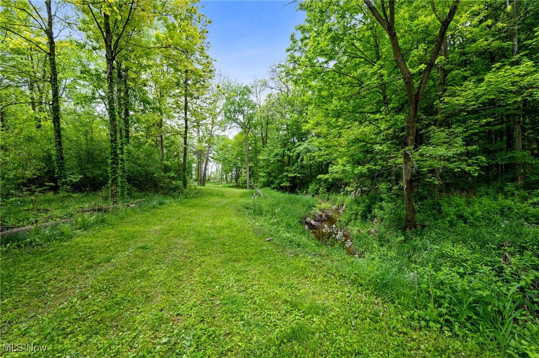 16364 Hallauer Road, Oberlin, Ohio image 43