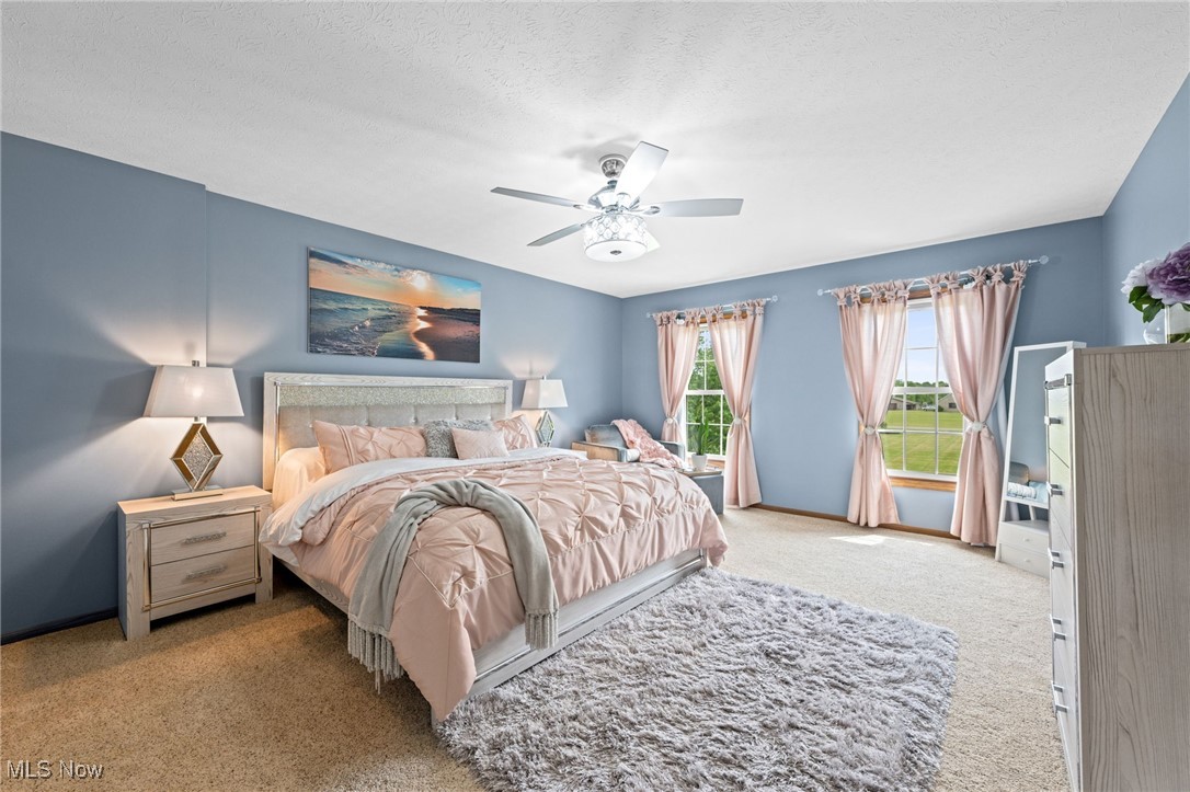 16364 Hallauer Road, Oberlin, Ohio image 24
