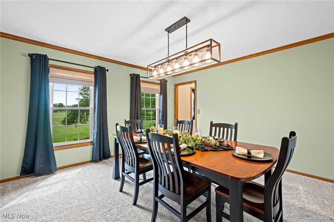 16364 Hallauer Road, Oberlin, Ohio image 8