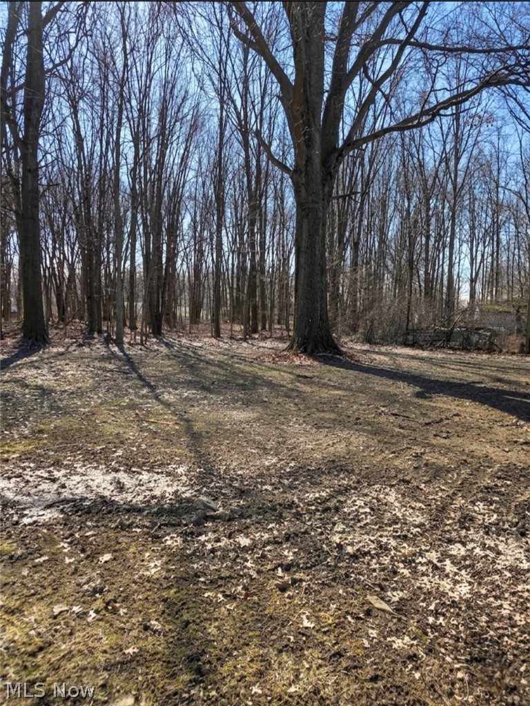 Grapevine Allotment - Residential