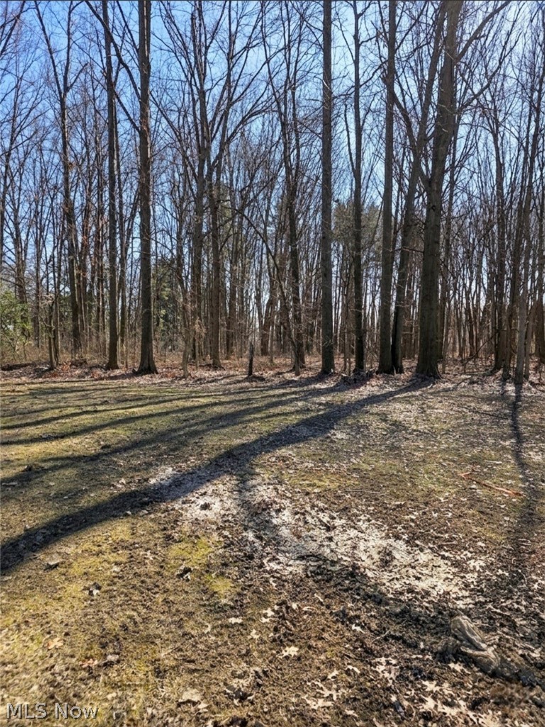 Grapevine Allotment - Residential