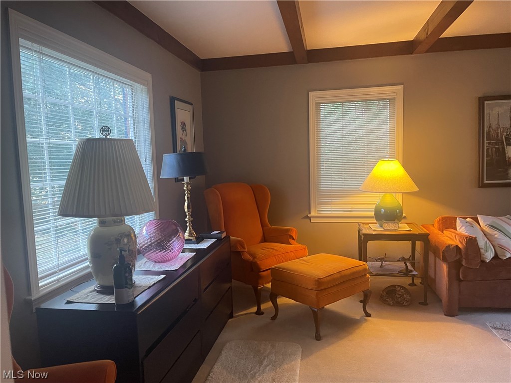 Original Willoughby Township 05 - Residential