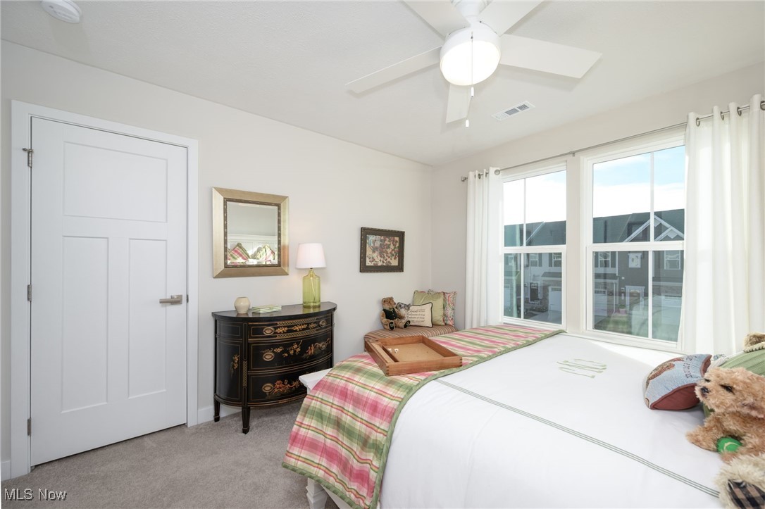 Towns/Cedar Crest - Residential