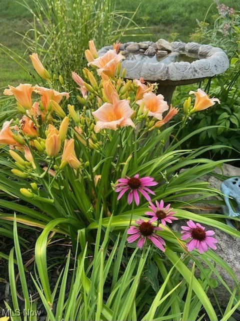 Towns/Cedar Crest - Residential