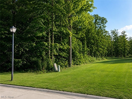 35 STONY BROOK LN, WAKEMAN, OH 44889 - Image 95dd5f96e8680aaef6c5b97628ee0bd3/4264376772