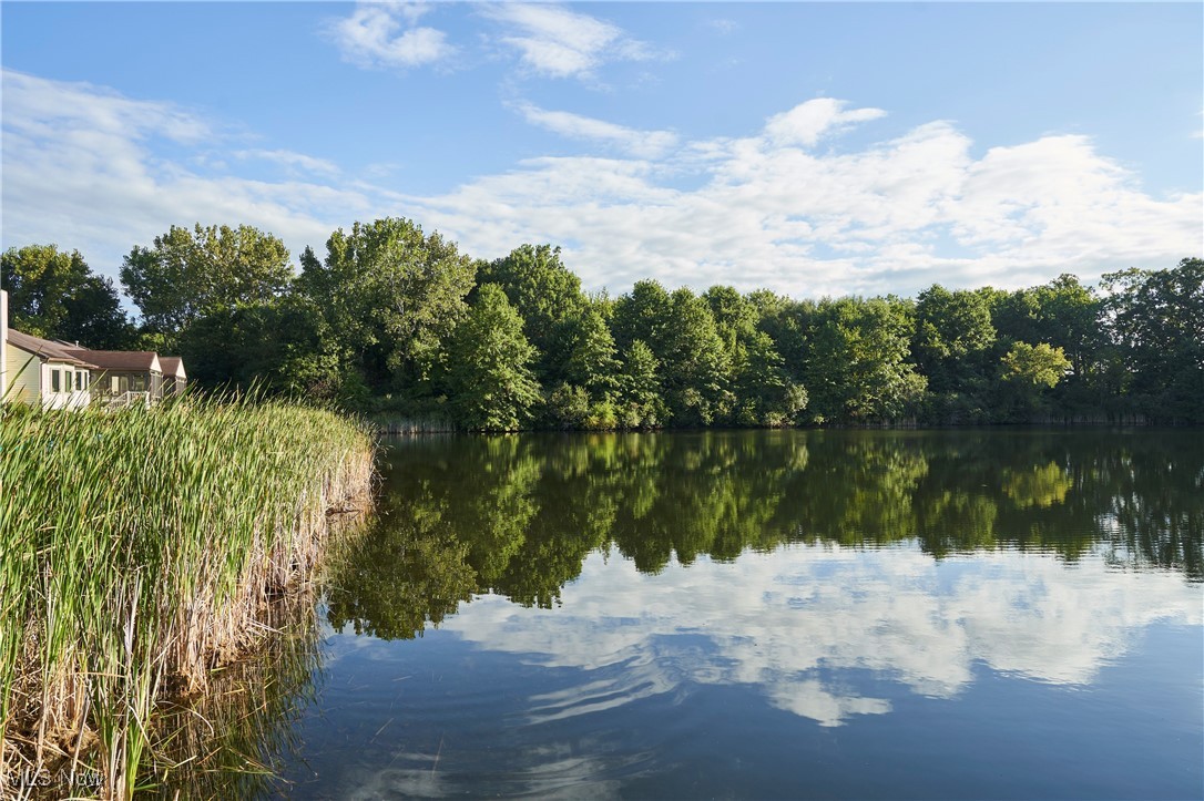 Just Cricket - Residential