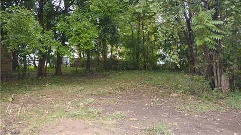 Vacant Land For Sale - 605 East Avenue<br/> Akron, OH 44320