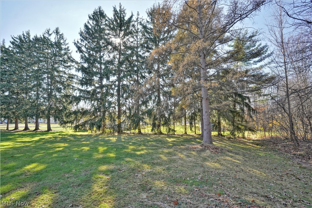 Macedonia Estates - Residential