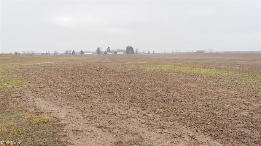 90 acres of vacant crop ground and woods. Fields are tiled and leased out to local farmer. Almost level topography. Good access to property from paved road. Annual taxes approximately $1763.02.
