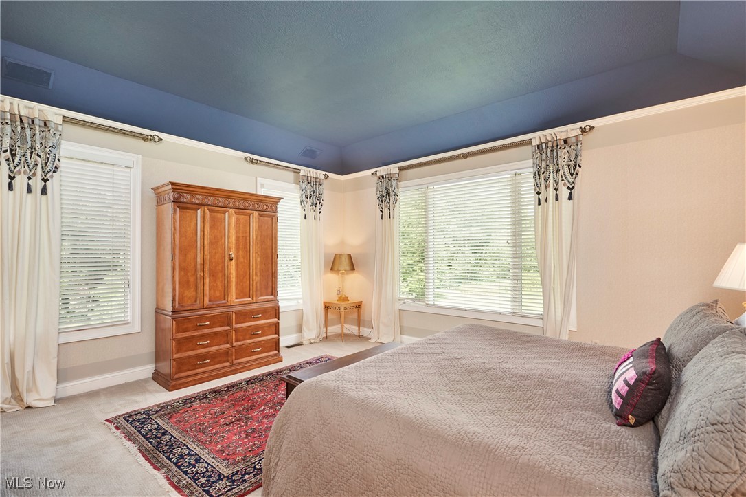 Bath, Ohio 44333, United States, 5 Bedrooms Bedrooms, ,7 BathroomsBathrooms,Residential,Active,118423