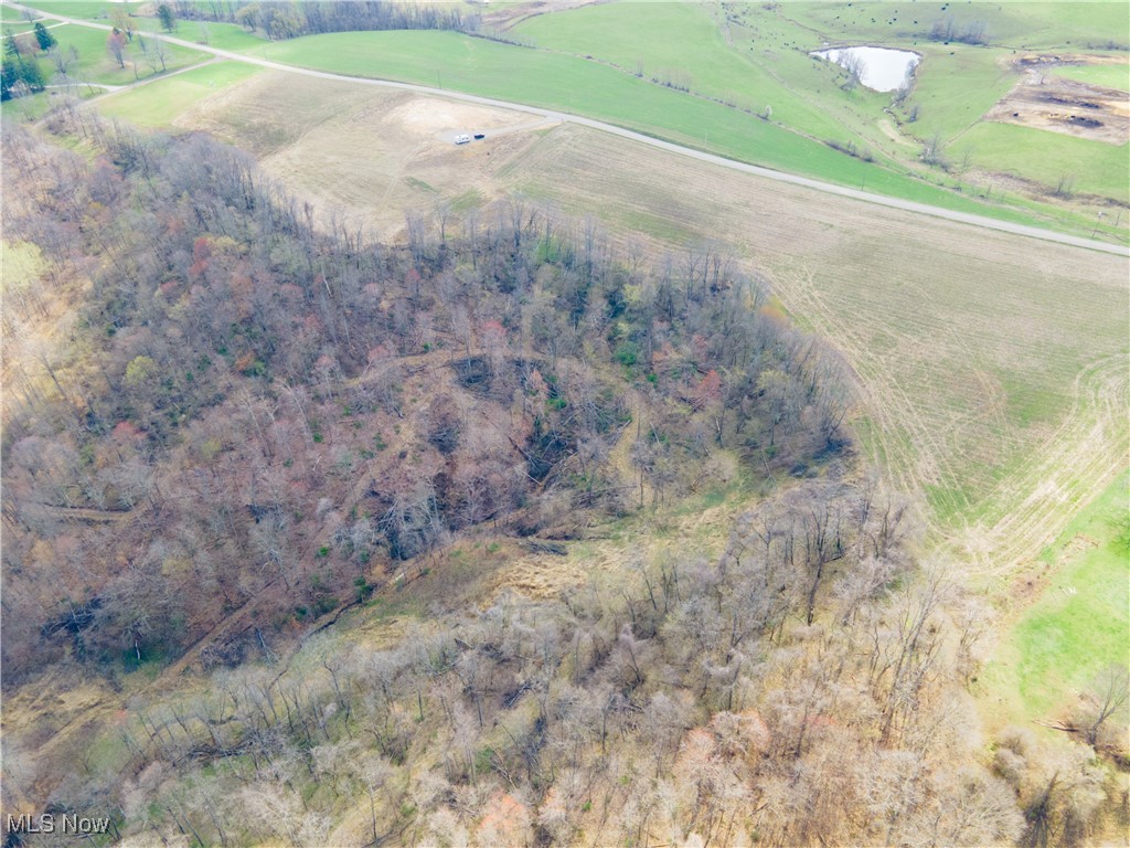 Norfield Road, New Concord, Ohio image 20