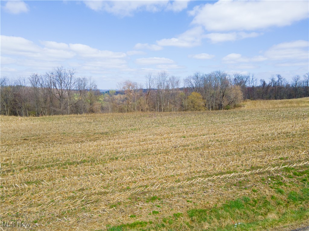 Norfield Road, New Concord, Ohio image 14