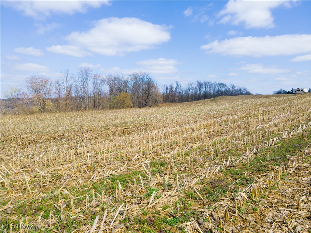 Norfield Road, New Concord, Ohio image 4
