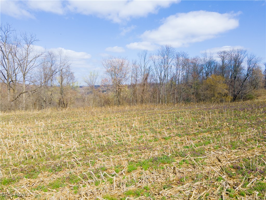 Norfield Road, New Concord, Ohio image 5